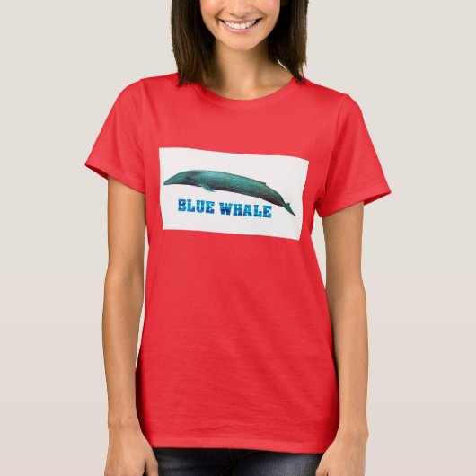 リンガーTシャツ Tシャツ (正面)