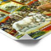 リンギングブラザーズ/アヴィアリー&アクアリウム ポスター (角)