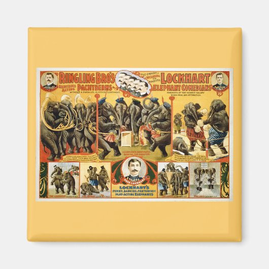 リンギングブロスパチデルム1899 マグネット (正面)