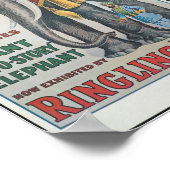 リンギングブロスビッグビンゴザエレファントサーカスのポスター ポスター (角)