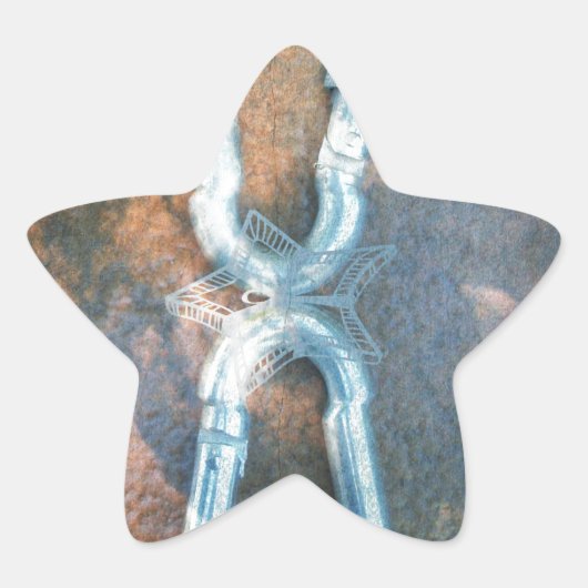 リンクされたカラバーアートプリント 星シール (正面)