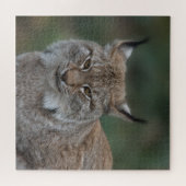 リンクスあなたを見て ジグソーパズル (横)