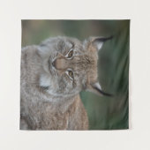 リンクスあなたを見て タペストリー (正面(横))