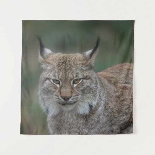 リンクスあなたを見て タペストリー (正面)