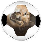 リンクスおっちょこちょいの サッカーボール (回転)