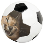 リンクスおっちょこちょいの サッカーボール (3/4)