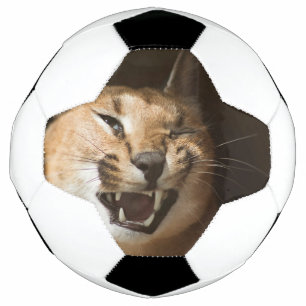 リンクスおっちょこちょいの サッカーボール