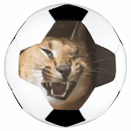 リンクスおっちょこちょいの サッカーボール (正面)