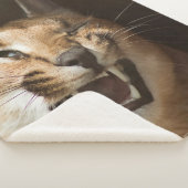 リンクスおっちょこちょいの シェルパブランケット (3/4)