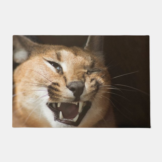 リンクスおっちょこちょいの ドアマット (正面)