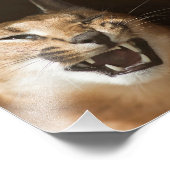 リンクスおっちょこちょいの フォトプリント            (角)