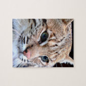 リンクスパズル ジグソーパズル (横)