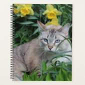 リンクスポイントシャム猫 プランナー手帳 (正面)