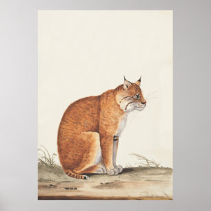 リンクスヴィンテージ自然猫絵を描野生動物 ポスター