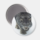 リンクス冬 マグネット (正面/裏面)