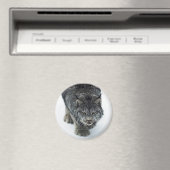 リンクス冬 マグネット (インサイチュ (食洗機))