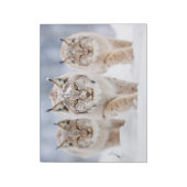 リンクス動物ファミリーワンダリング自然 ノートパッド (回転)