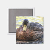 リンクス湖水鳥 マグネット (正面/裏面)