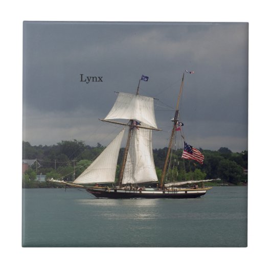 リンクス瓦 タイル (正面)