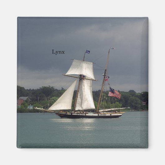 リンクス磁石 マグネット (正面)