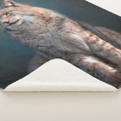 リンクス シェルパブランケット (3/4)