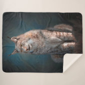 リンクス シェルパブランケット (正面(横))