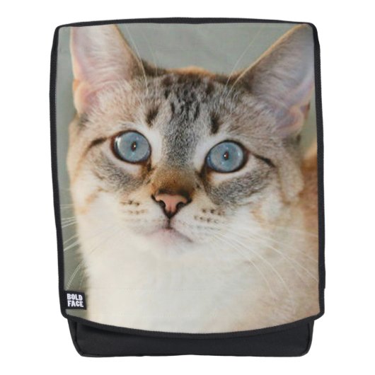 リンクス・ポイント・シャメゼ猫 バックパック (正面)