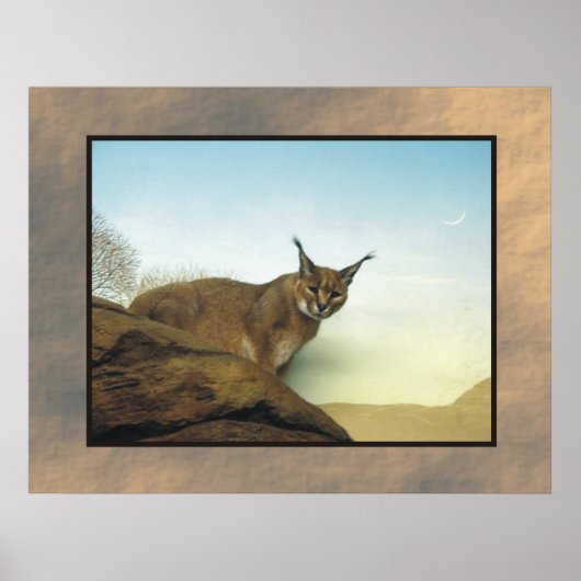 リンクス ポスター (正面)