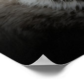 リンクス ポスター (角)