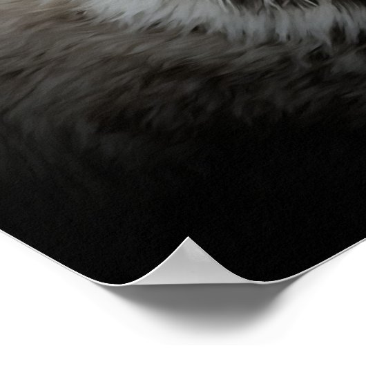 リンクス ポスター (角)