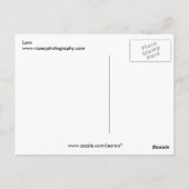 リンクス ポストカード (裏面)