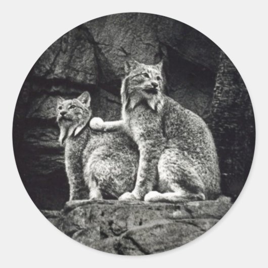 リンクス ラウンドシール (正面)