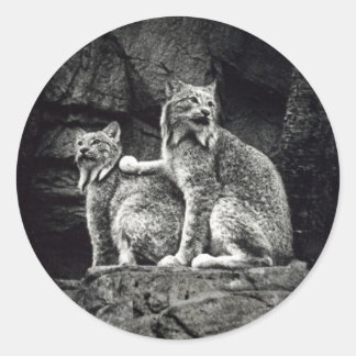 リンクス ラウンドシール