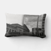 リンク ランバークッション (裏面)