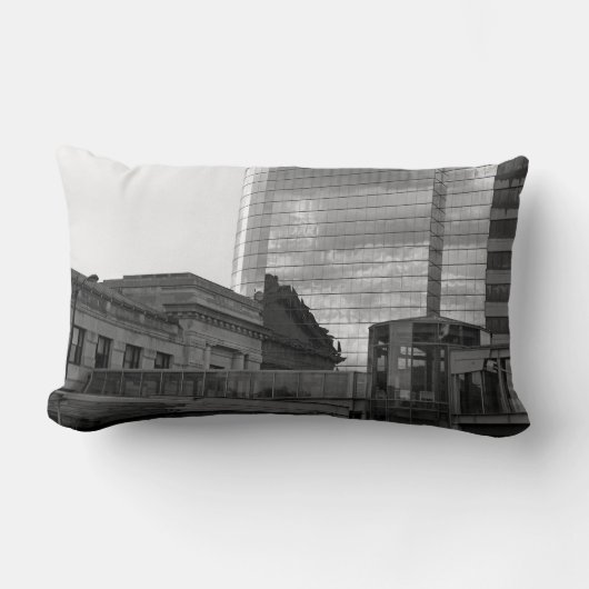 リンク ランバークッション (正面)