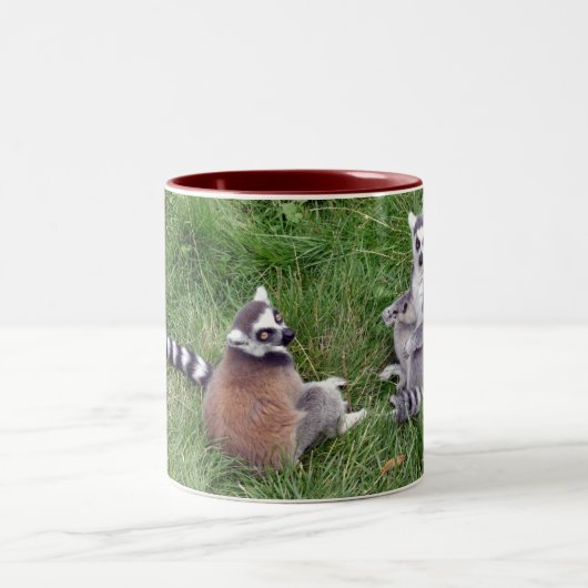 リングによって後につかれるlemursのマグ ツートーンマグカップ (中央)