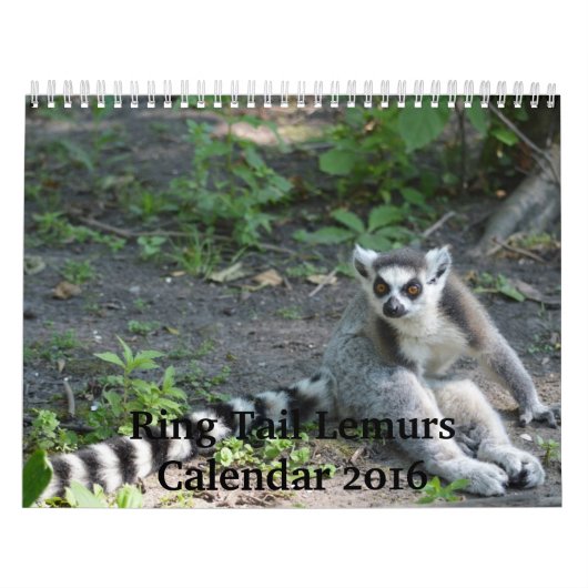 リングの尾Lemurs 2016のカレンダー カレンダー (カバー)