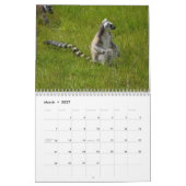 リングの尾Lemurs 2016のカレンダー カレンダー (3月 2027)