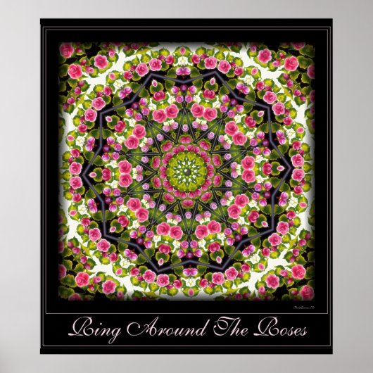 リングや輪のまわりにバラ。ポスター ポスター (正面)