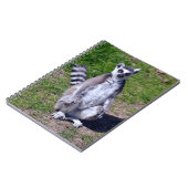 リングや輪の尾のキツネザルの芝生ポストカードT-Shirに座る ノートブック (左側)