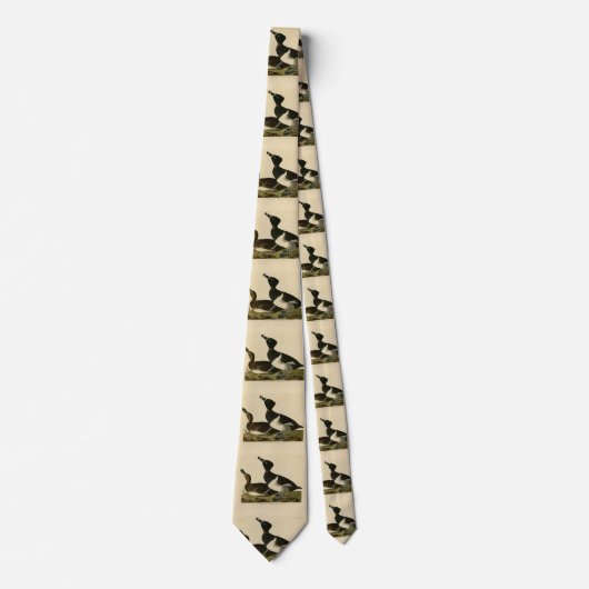 リングや輪の首を持つアヒル（オードボン・バードズ・オブ・アメリカ） ネクタイ (正面)