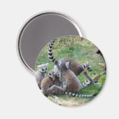 リングや輪ウズラ科 マグネット (正面/裏面)