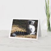 リングや輪オキツネザルポートレート カード (正面)