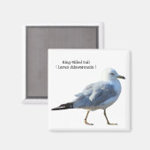 リングや輪クマモメ マグネット (正面/裏面)