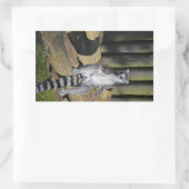 リングや輪テイルムールドルシラスパーク 長方形シール (バッグ)