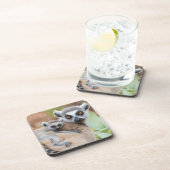 リングや輪テイルムールベビーの母バック コースター (右側)