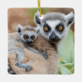 リングや輪テイルムールベビーの母バック セラミックオーナメント (正面)