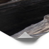 リングや輪テイルムールマザーアンドベビー ポスター (角)