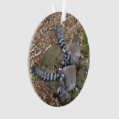 リングや輪テイルムール#1オーナメント オーナメント (正面)