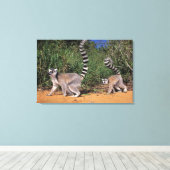 リングや輪テイルルムルス（レムールカッタ）、ベレンティ キャンバスプリント (インサイチュ (ウッドフロア))